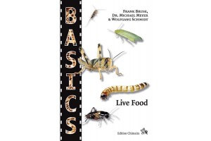 Live Food - Collection BASICS